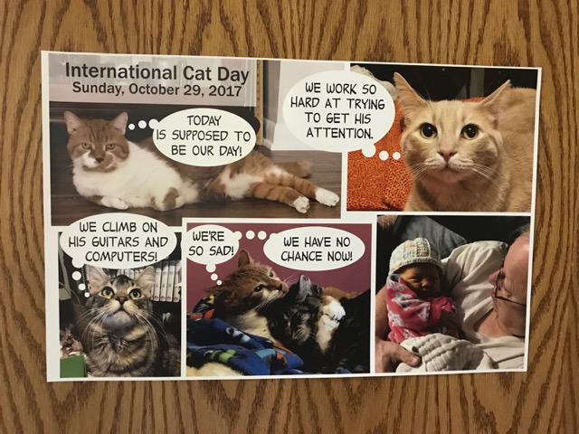 Cat Poster