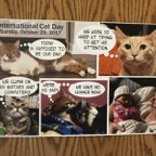 Cat Poster.jpg